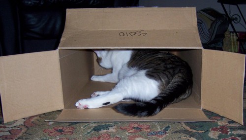 Boris in a box