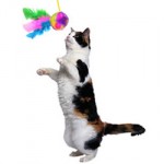 OurPets Toys on Sale at CatToys.com