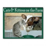 Cats & Kittens on a Farm Calendar